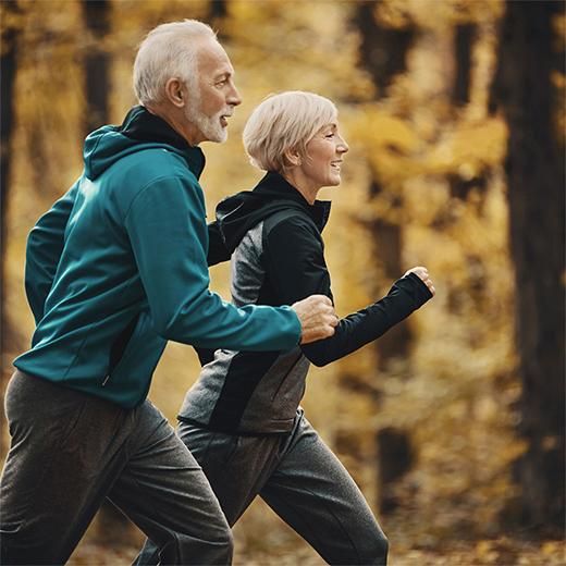 Brain Longevity Strategies