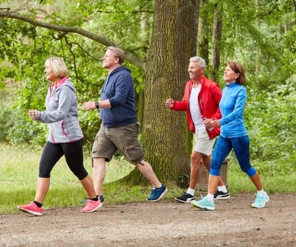 Environmental Factors And Aging