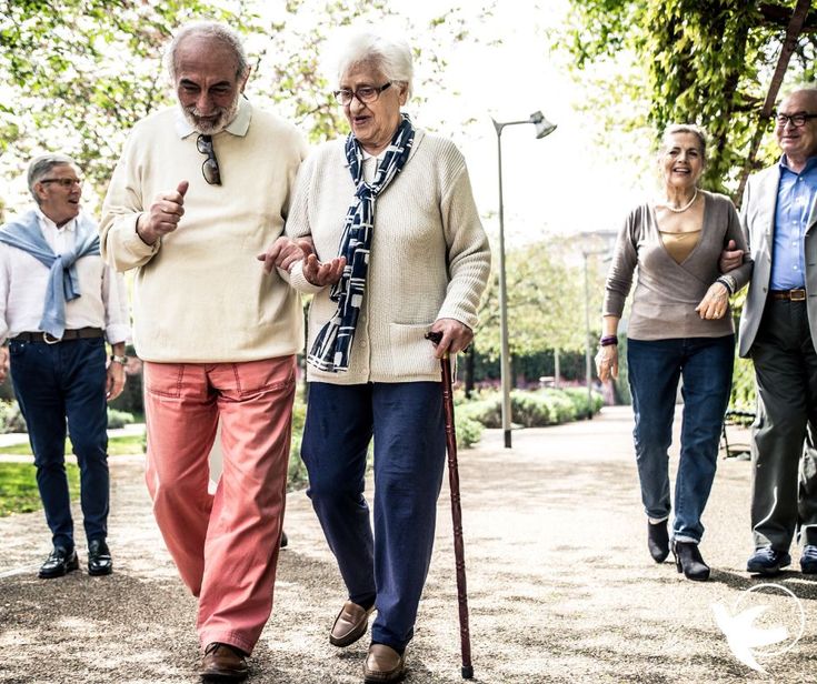 Environmental Factors And Aging