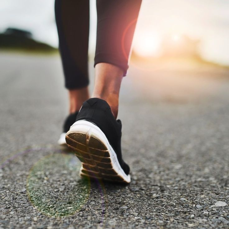 Longevity Fitness Routine
