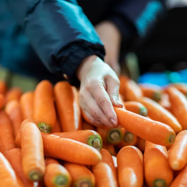 Longevity Foods