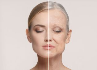Longevity Research