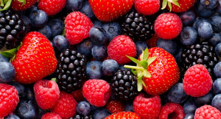 The Top 10 Longevity Foods to Add to Your Diet Now