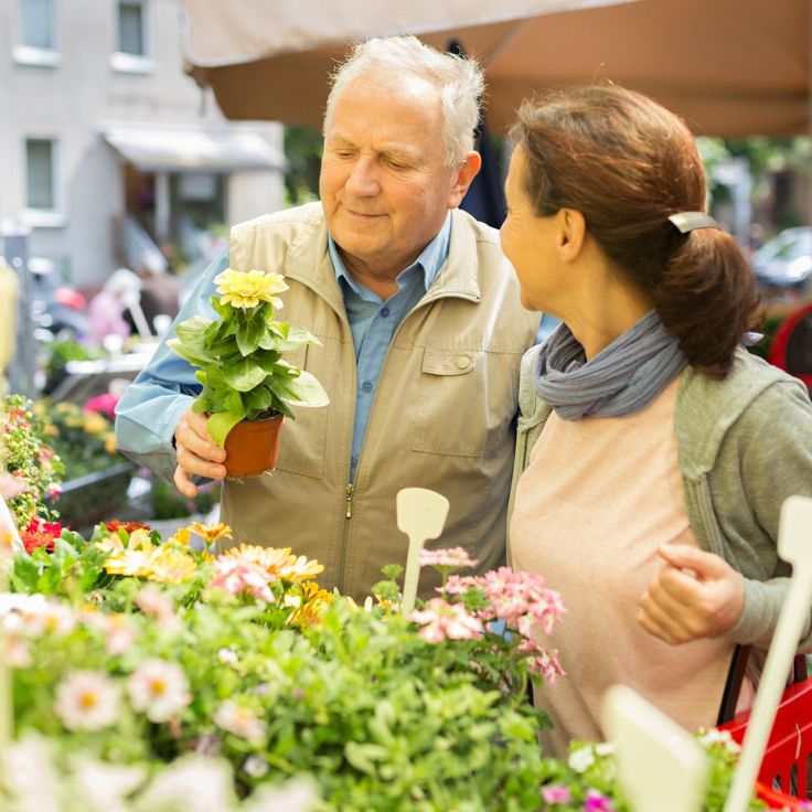 Living Options For Seniors