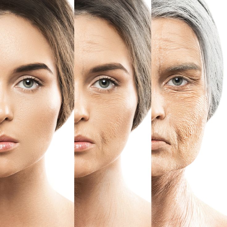 Longevity And Healthy Aging Strategies