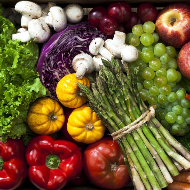Telomeres And Longevity