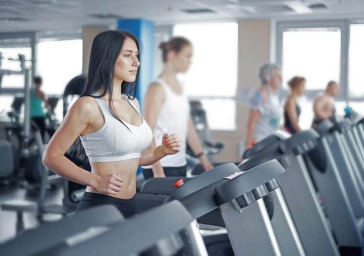 Telomeres And Longevity