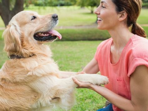 The Role Of Pets In Aging Gracefully