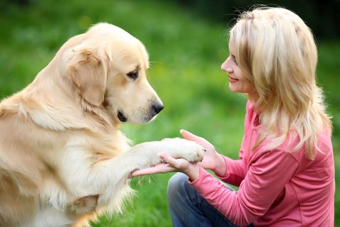 The Role Of Pets In Aging Gracefully