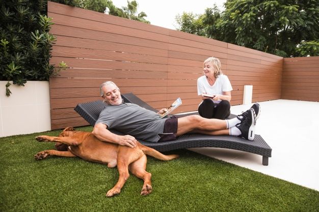 The Role Of Pets In Aging Gracefully