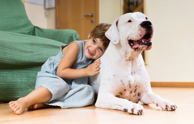 The Role Of Pets In Aging Gracefully